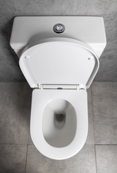 LEON WC kombi, Rimless, spodní/zadní odpad, bílá