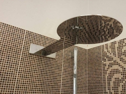 sprchová růžice sropní, délka 555 mm, pr. růžice 260 mm - nerez 